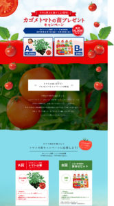 カゴメトマトの苗プレゼントキャンペーン